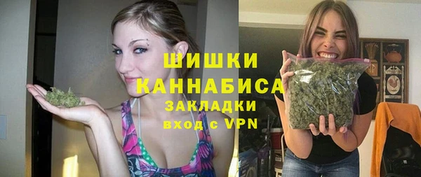 молекула духа Богородск