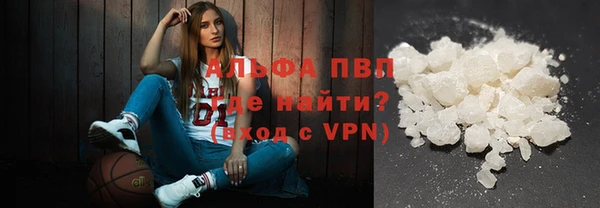 молекула духа Богородск
