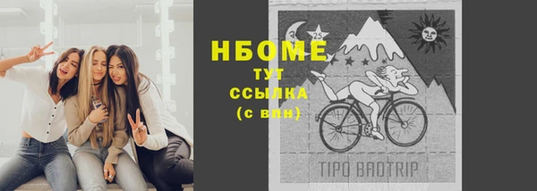 молекула духа Богородск